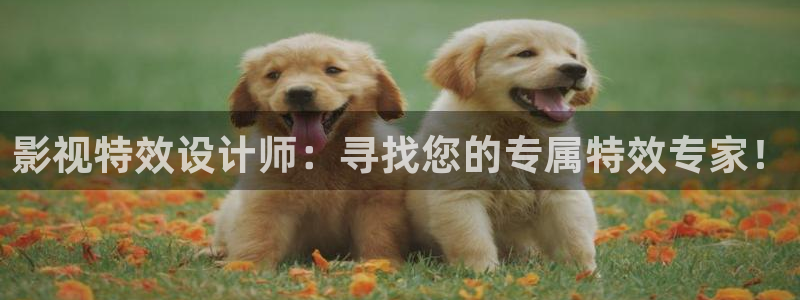 全能影视大全在线观看：影视特效设计师：寻找您的专属特效专家！