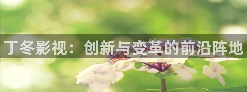 全能影视在线观看：丁冬影视：创新与变革的前沿阵地