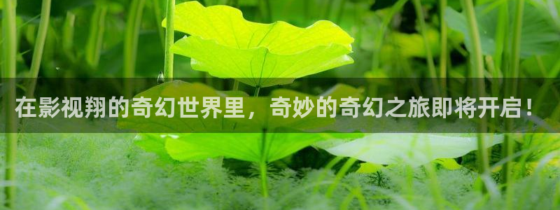 全能影视在线电视剧：在影视翔的奇幻世界里，奇妙的奇幻之旅即将开启！