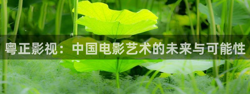 全能影视剧：粤正影视：中国电影艺术的未来与可能性