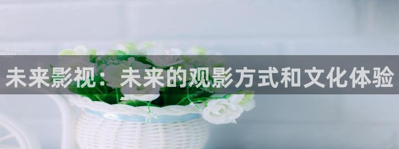 全能影视2026：未来影视：未来的观影方式和文化体验