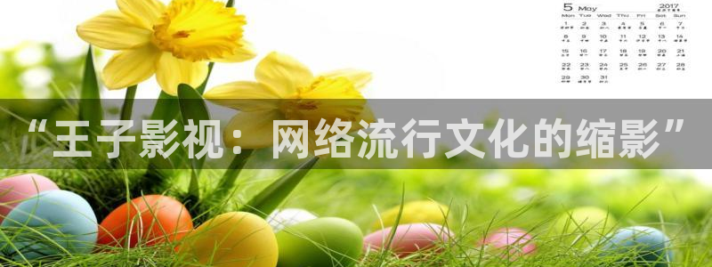 全能影视网：“王子影视：网络流行文化的缩影”