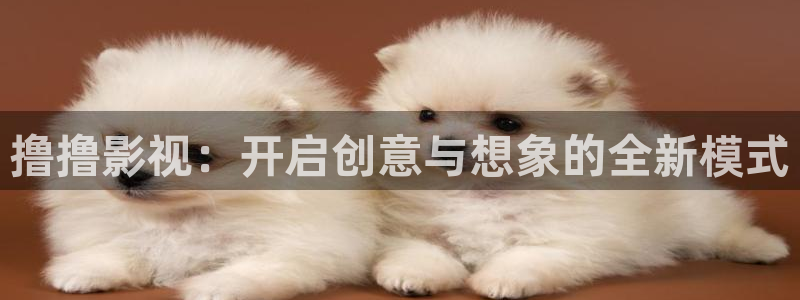 全能影视大全免费观看电视剧：撸撸影视：开启创意与想象的全新模式